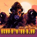 buffalo lottery